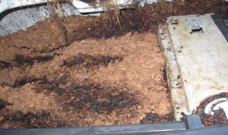 Properly functioning and well maintained Ecoflo peat moss treatment unit